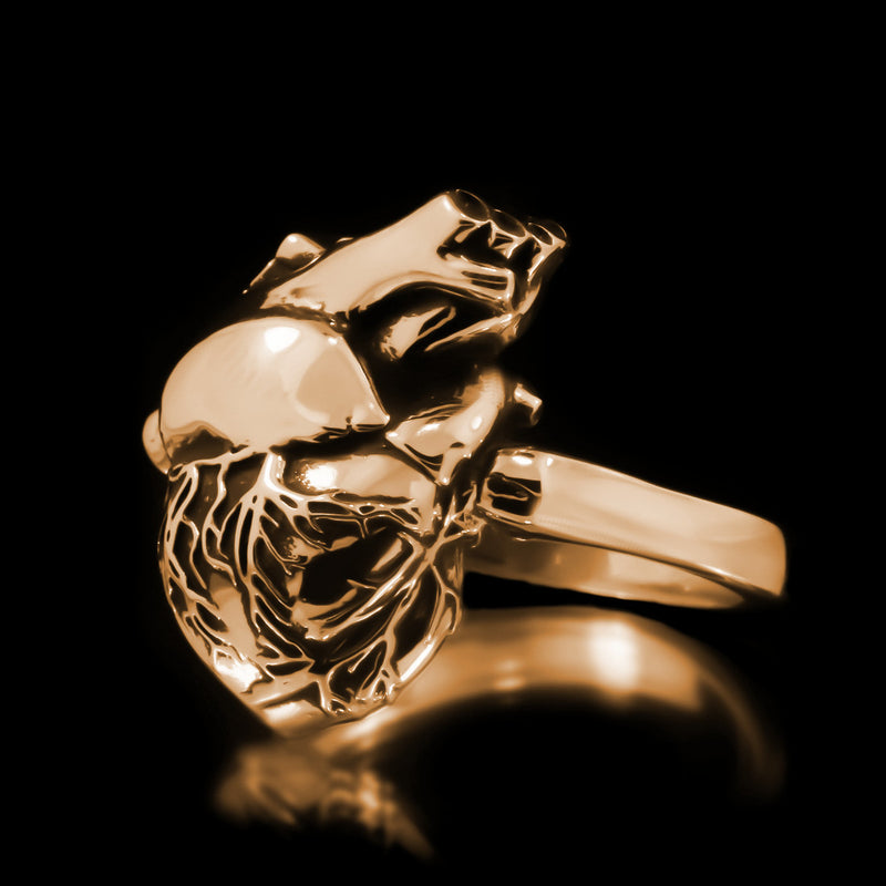 Anatomical Heart Ring - Brass - Twisted Love NYC
